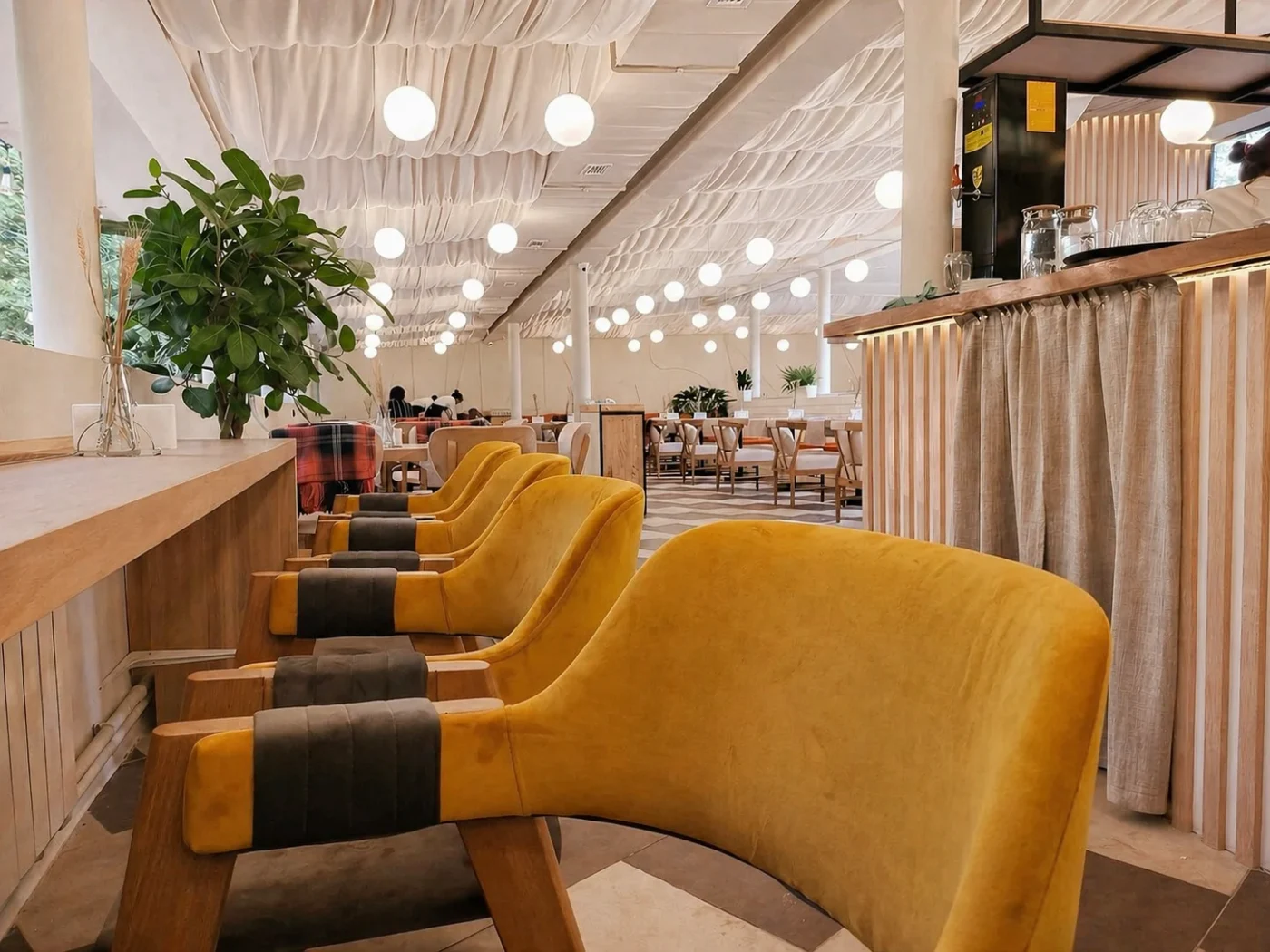 Terenqour Cafe